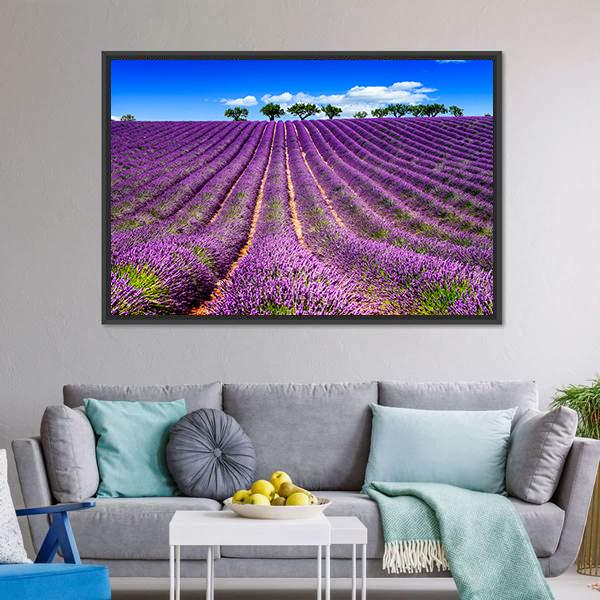Lavender Field In France Canvas Wall Art-3 Horizontal-Gallery Wrap-25" x 16"-Tiaracle