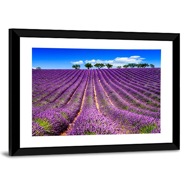 Lavender Field In France Canvas Wall Art-3 Horizontal-Gallery Wrap-25" x 16"-Tiaracle