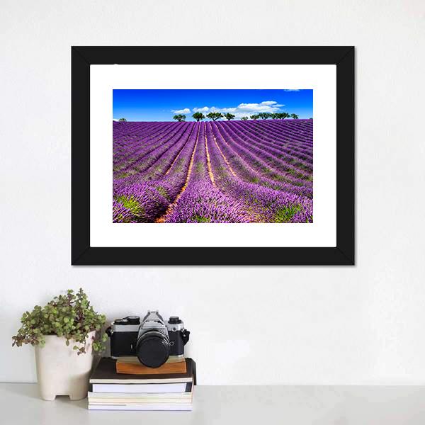 Lavender Field In France Canvas Wall Art-1 Piece-Framed Print-20" x 16"-Tiaracle