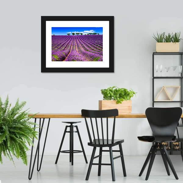 Lavender Field In France Canvas Wall Art-3 Horizontal-Gallery Wrap-25" x 16"-Tiaracle