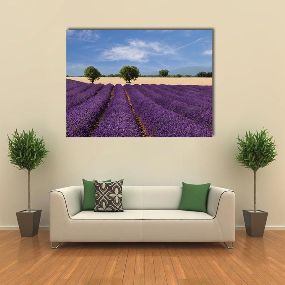 Lavender Field in France Canvas Wall Art in beige, blue and purple, single panel hung on a wall