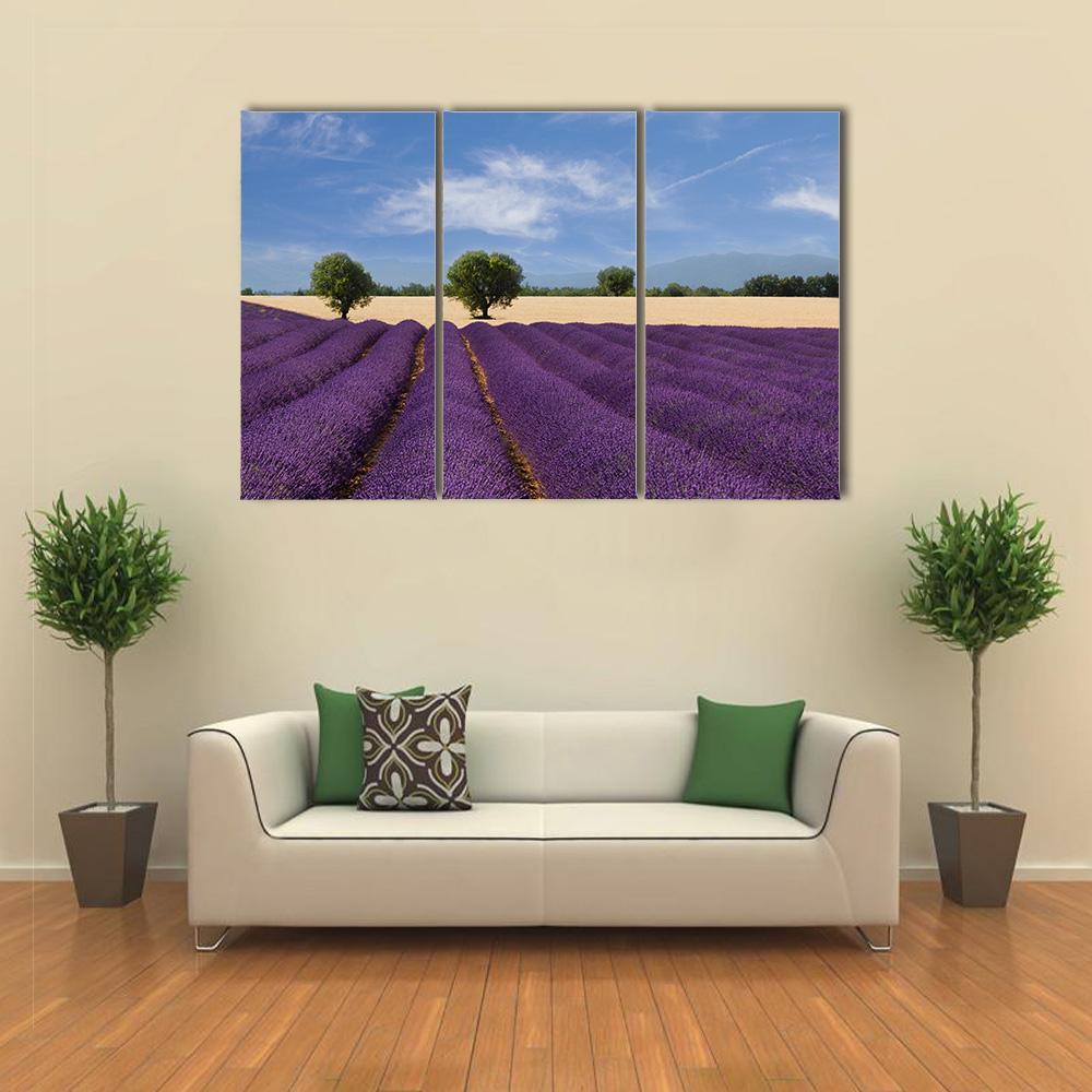 Lavender Field France Canvas Wall Art-3 Horizontal-Gallery Wrap-37" x 24"-Tiaracle