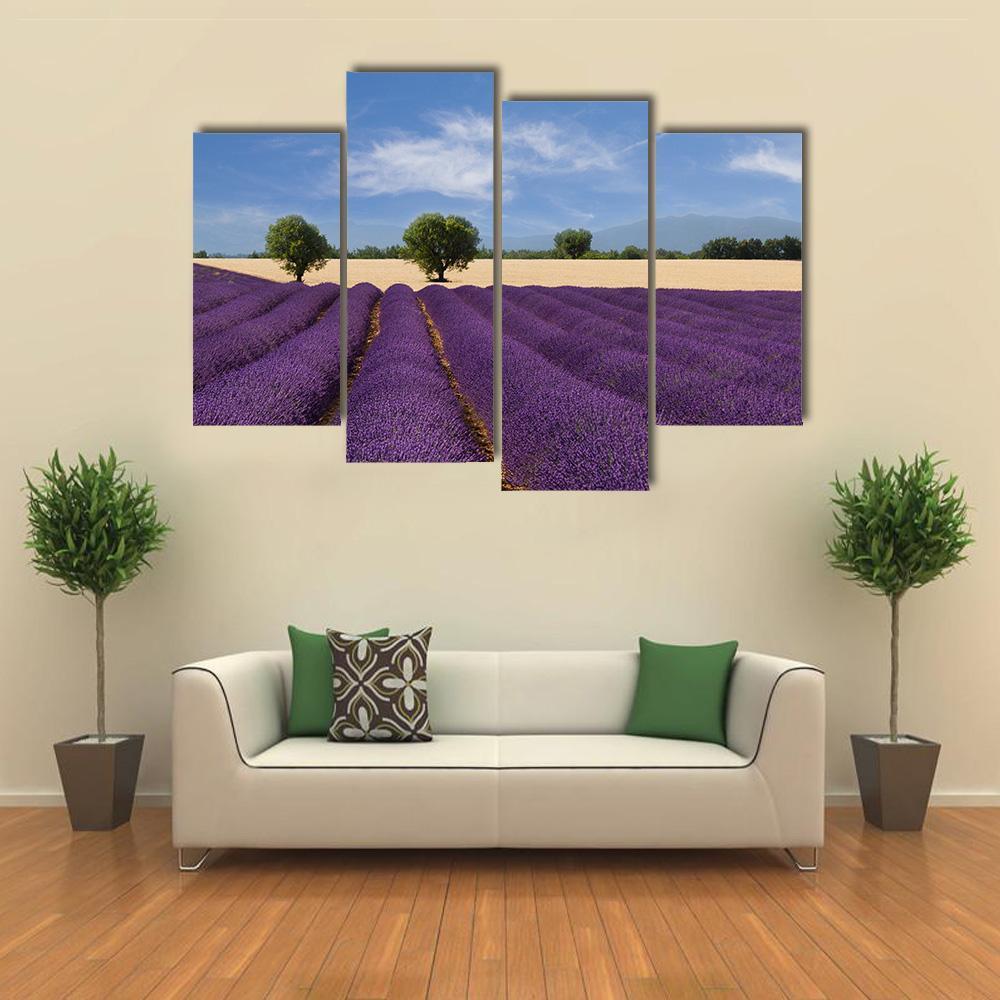Lavender Field France Canvas Wall Art-4 Pop-Gallery Wrap-50" x 32"-Tiaracle