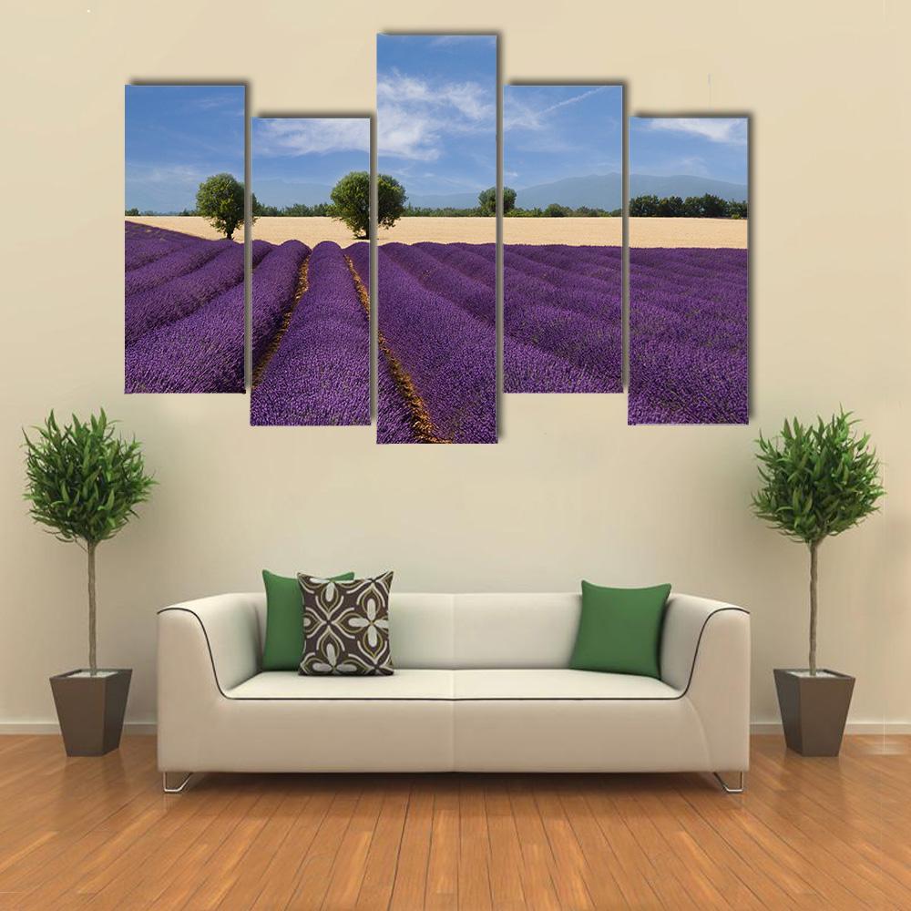 Lavender Field France Canvas Wall Art-5 Pop-Gallery Wrap-47" x 32"-Tiaracle