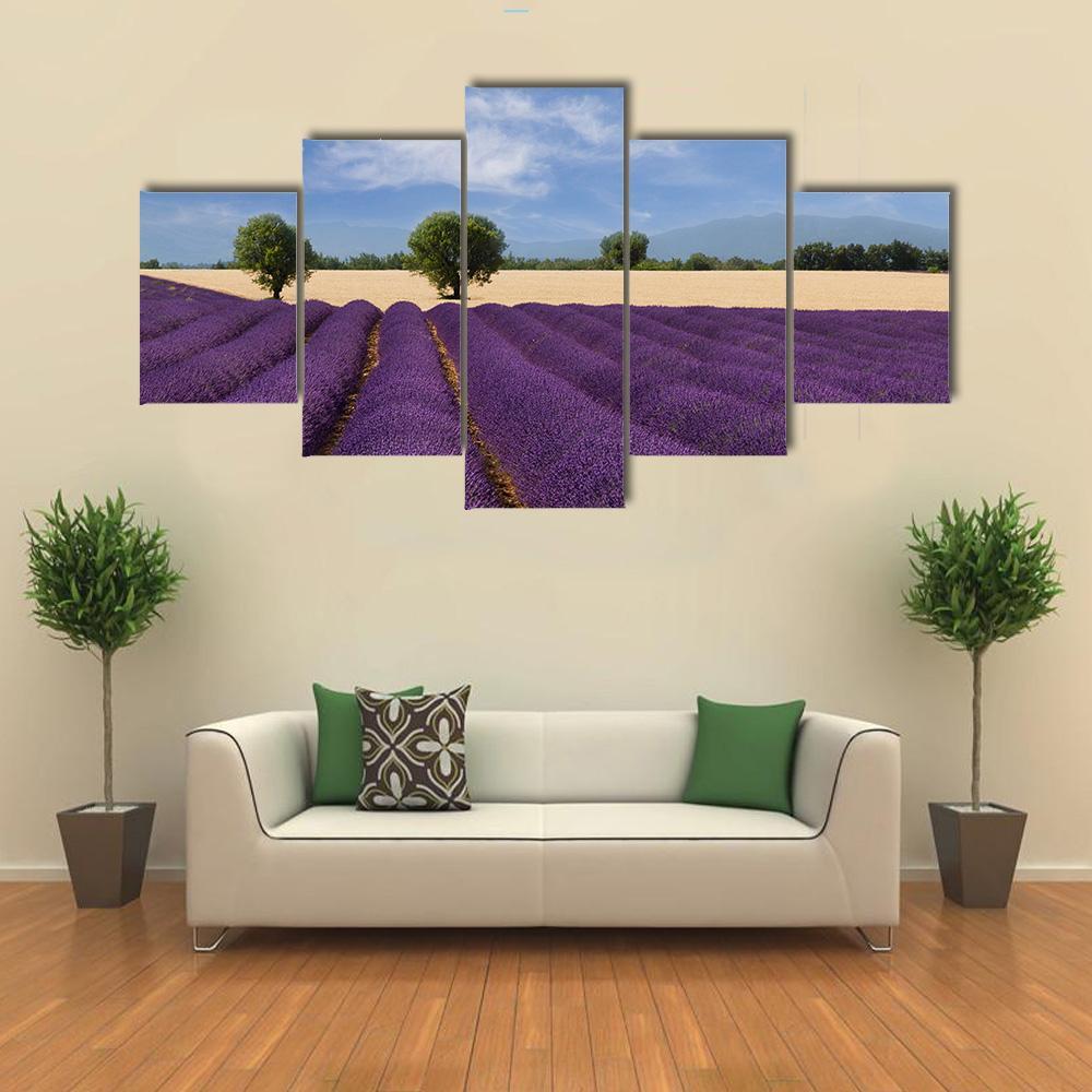 Lavender Field France Canvas Wall Art-5 Star-Gallery Wrap-62" x 32"-Tiaracle