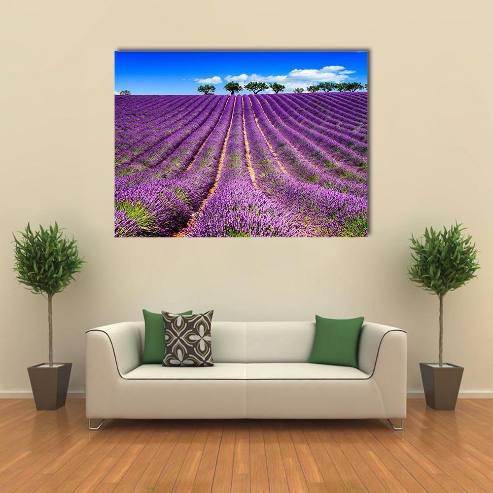 Lavender Field in France Canvas Wall Art in green, blue and purple, single panel hung on a wall