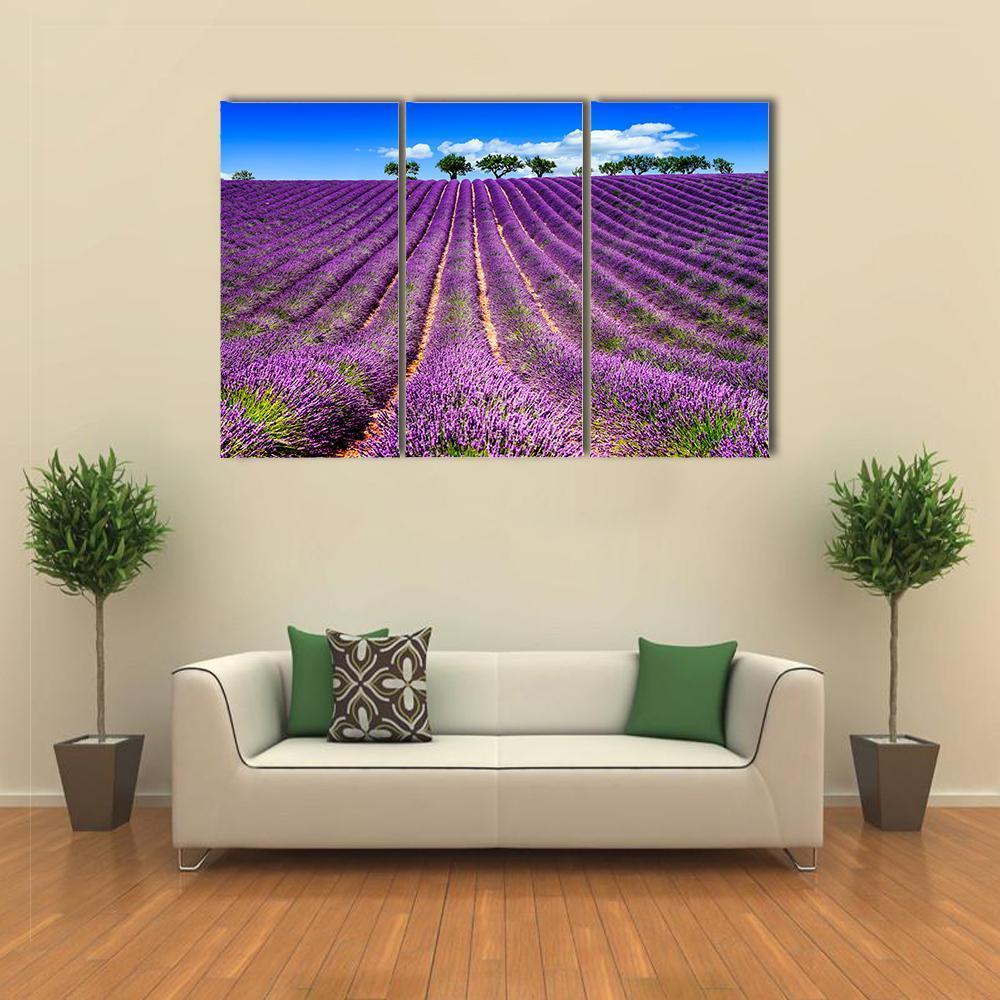 Lavender Field In France Canvas Wall Art-3 Horizontal-Gallery Wrap-37" x 24"-Tiaracle
