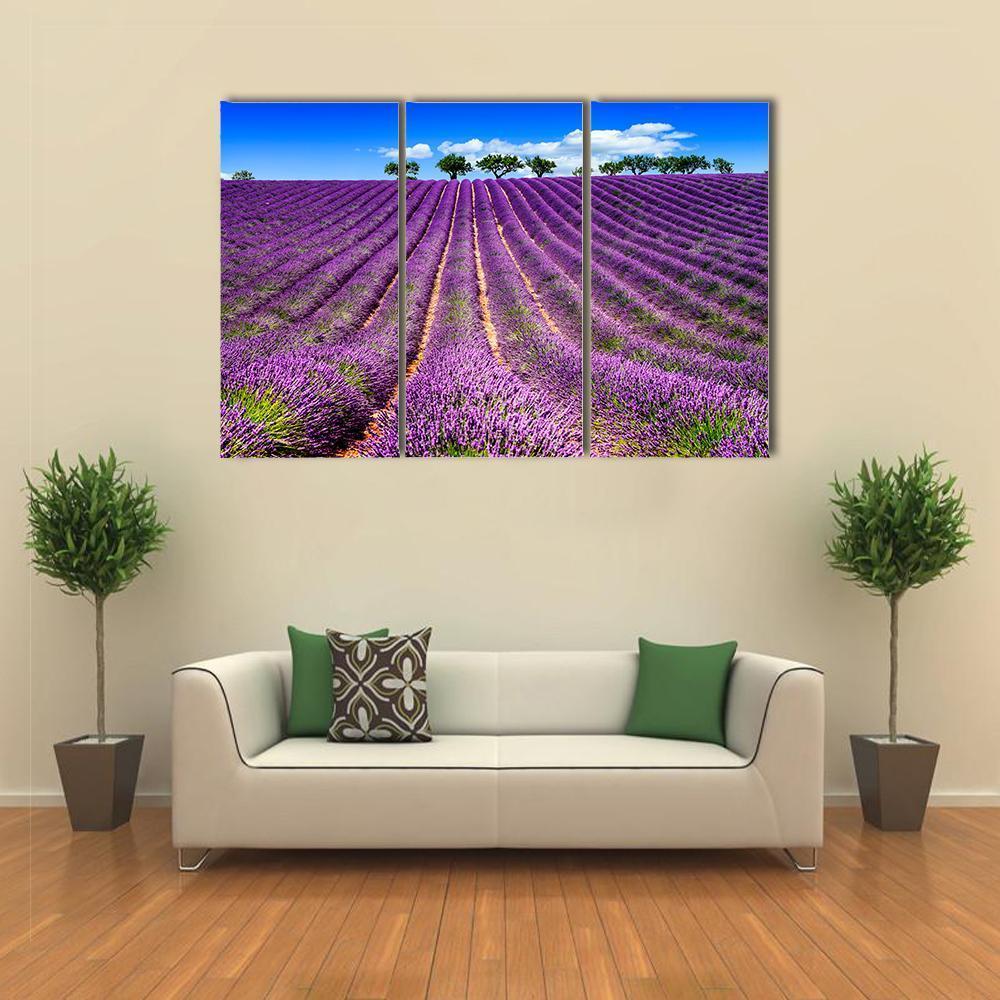 Lavender Field In France Canvas Wall Art-5 Star-Gallery Wrap-62" x 32"-Tiaracle