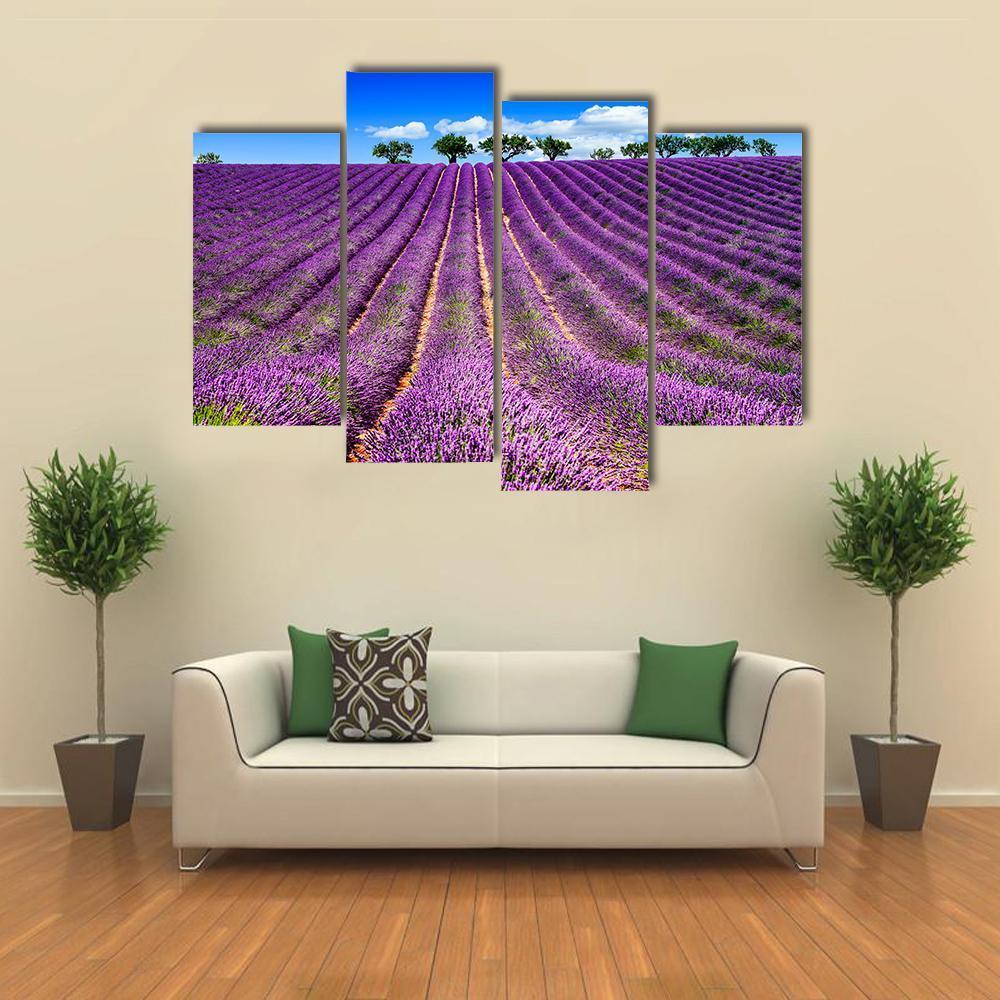 Lavender Field In France Canvas Wall Art-4 Pop-Gallery Wrap-50" x 32"-Tiaracle