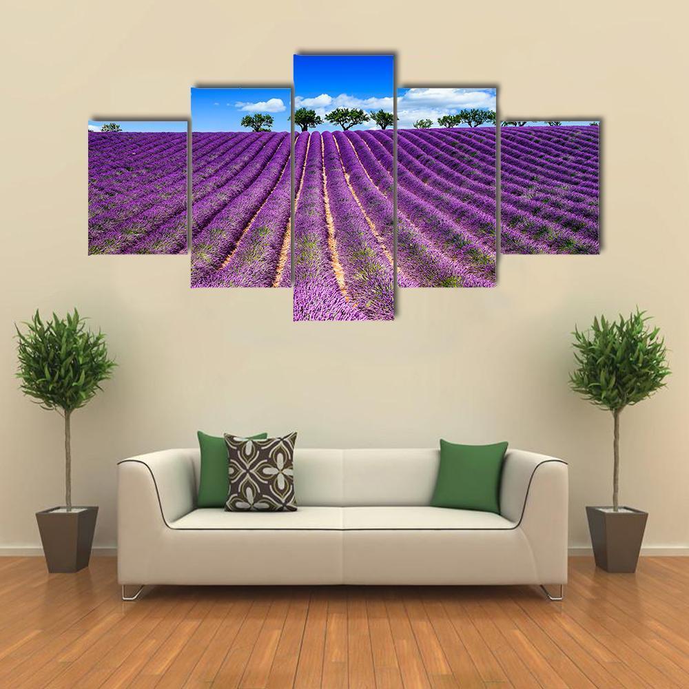 Lavender Field In France Canvas Wall Art-5 Star-Gallery Wrap-62" x 32"-Tiaracle