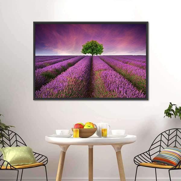 Lavender Field In Summer Canvas Wall Art-3 Horizontal-Gallery Wrap-25" x 16"-Tiaracle