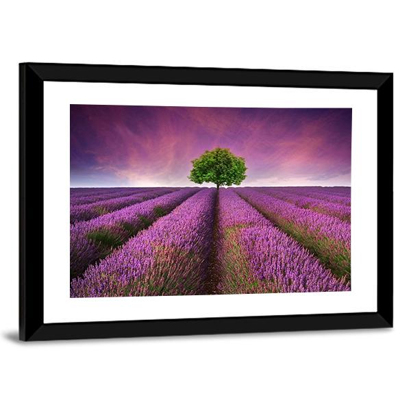 Lavender Field In Summer Canvas Wall Art-5 Horizontal-Gallery Wrap-22" x 12"-Tiaracle