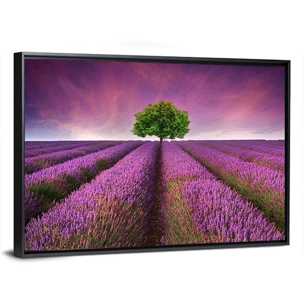Lavender Field In Summer Canvas Wall Art-5 Horizontal-Gallery Wrap-22" x 12"-Tiaracle