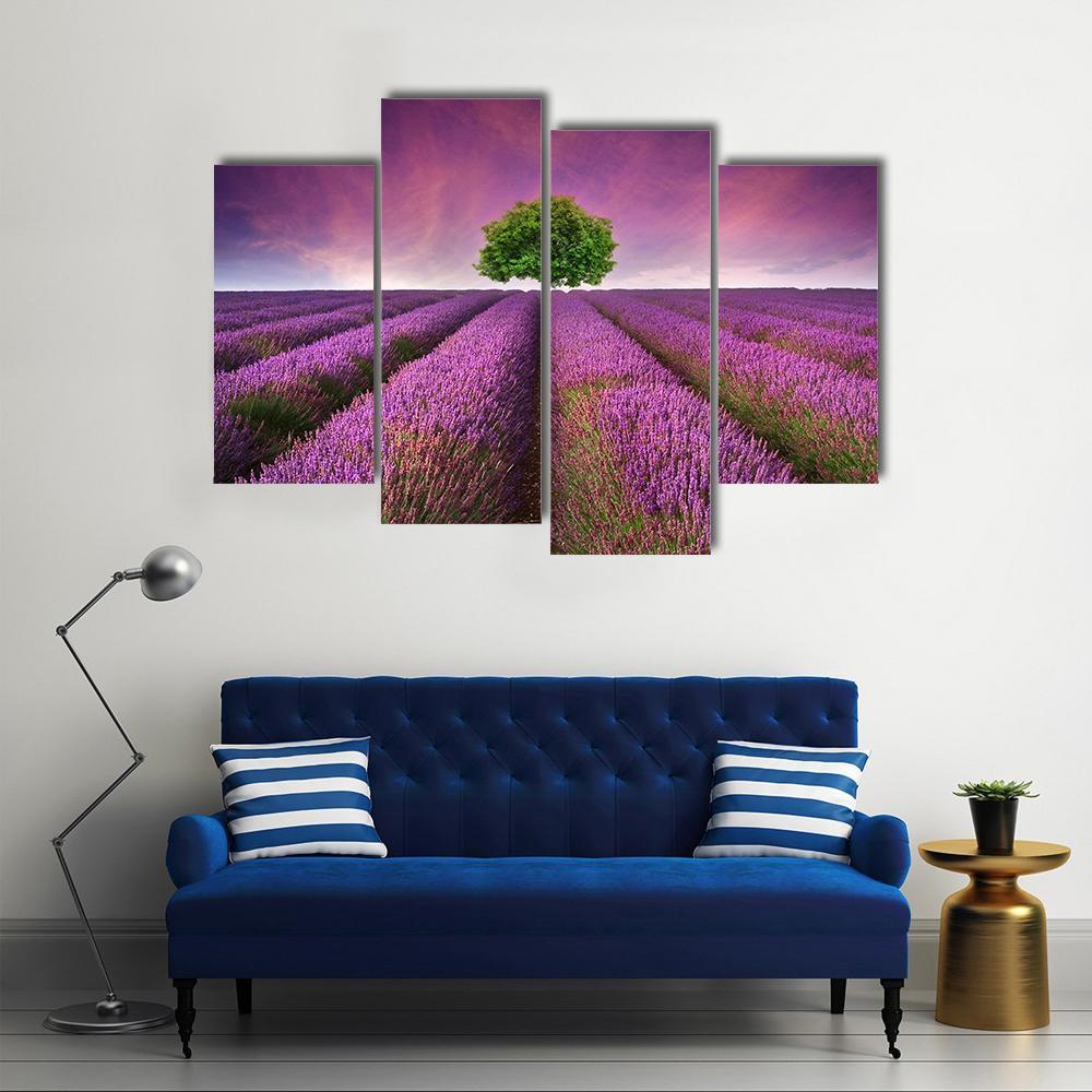 Lavender Field In Summer Canvas Wall Art-4 Pop-Gallery Wrap-50" x 32"-Tiaracle