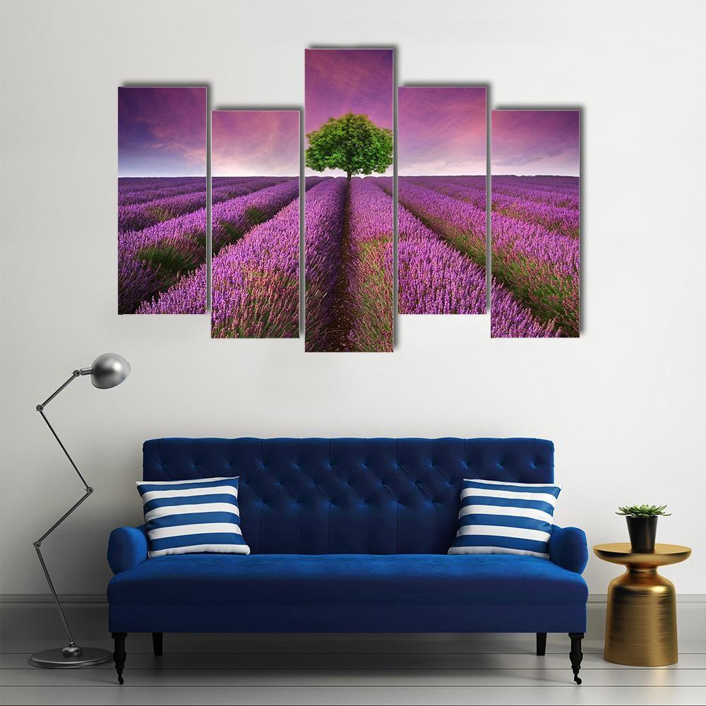 Lavender Field In Summer Canvas Wall Art-5 Pop-Gallery Wrap-47" x 32"-Tiaracle
