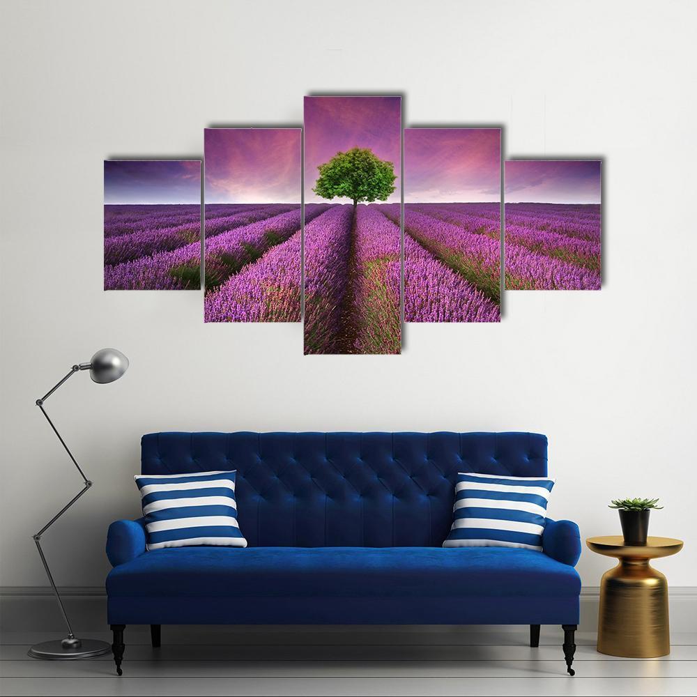 Lavender Field In Summer Canvas Wall Art-5 Star-Gallery Wrap-62" x 32"-Tiaracle