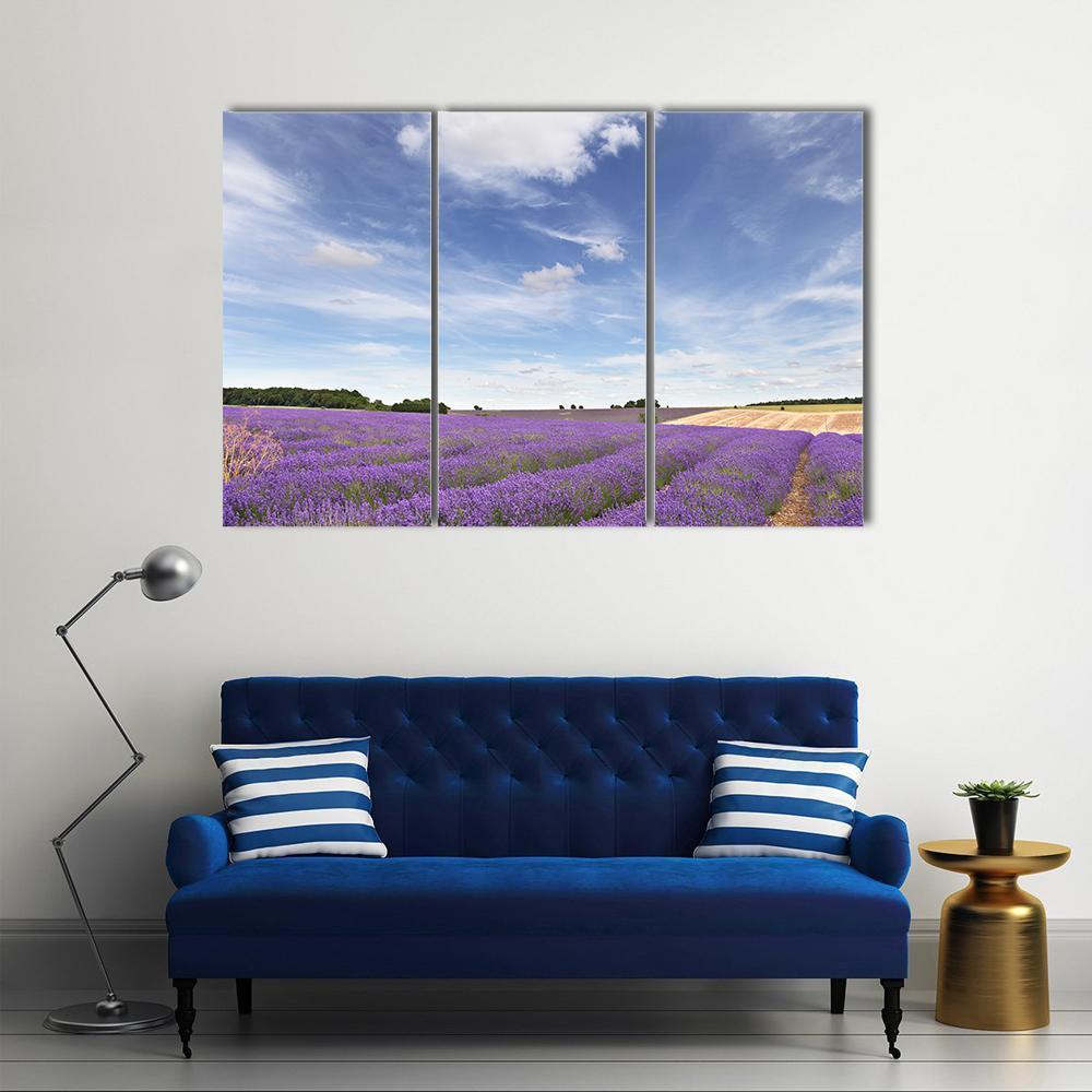 Lavender Field In Cotswolds Canvas Wall Art-3 Horizontal-Gallery Wrap-37" x 24"-Tiaracle