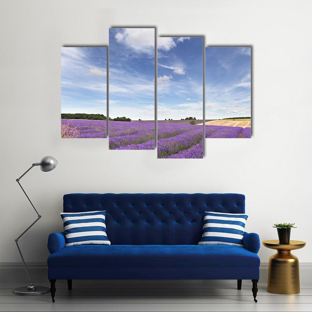 Lavender Field In Cotswolds Canvas Wall Art-4 Pop-Gallery Wrap-50" x 32"-Tiaracle