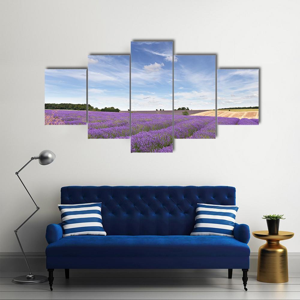 Lavender Field In Cotswolds Canvas Wall Art-5 Star-Gallery Wrap-62" x 32"-Tiaracle