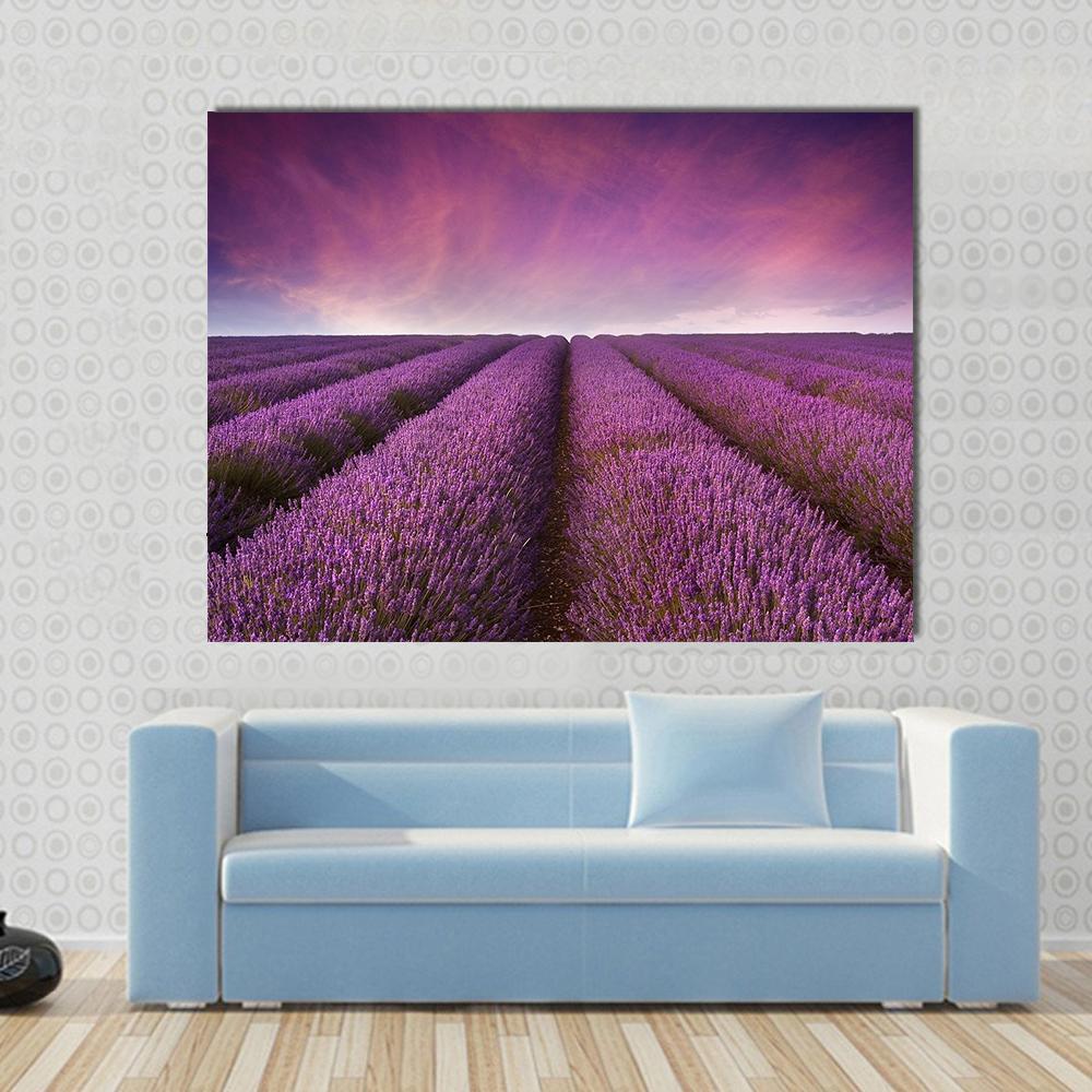 Lavender Field at Sunset Canvas Wall Art in purple and pink, single panel hung on a wall