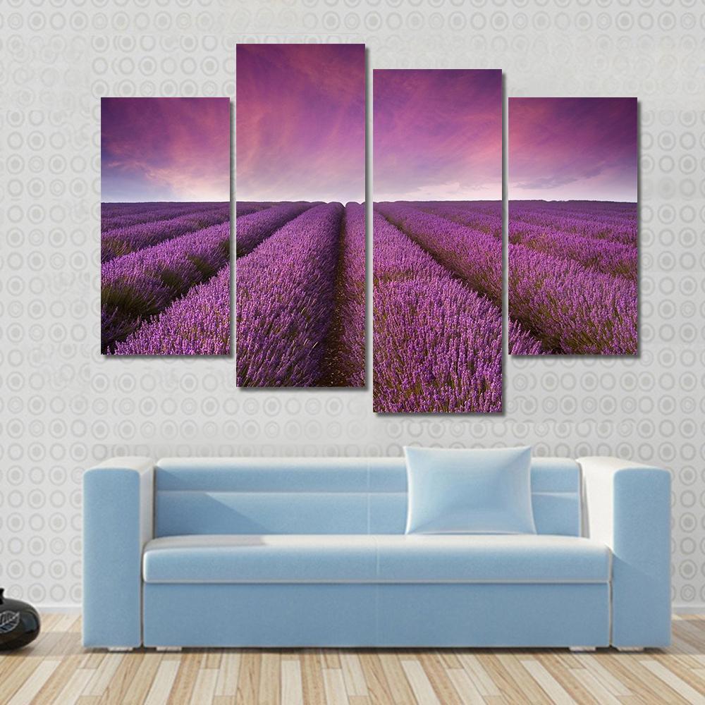 Lavender Field At Sunset Canvas Wall Art-4 Pop-Gallery Wrap-50" x 32"-Tiaracle