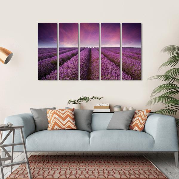 Lavender Field At Sunset Canvas Wall Art-5 Horizontal-Gallery Wrap-22" x 12"-Tiaracle