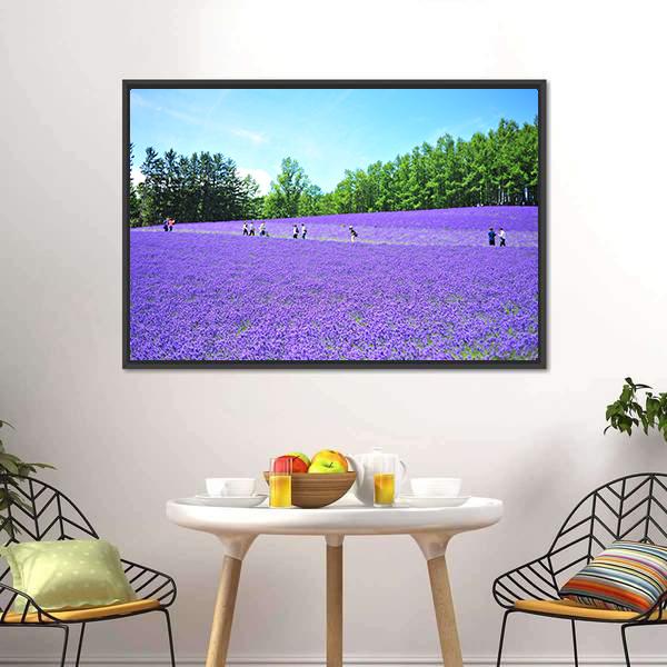 Lavender Fields In Hokkaido Canvas Wall Art-3 Horizontal-Gallery Wrap-25" x 16"-Tiaracle