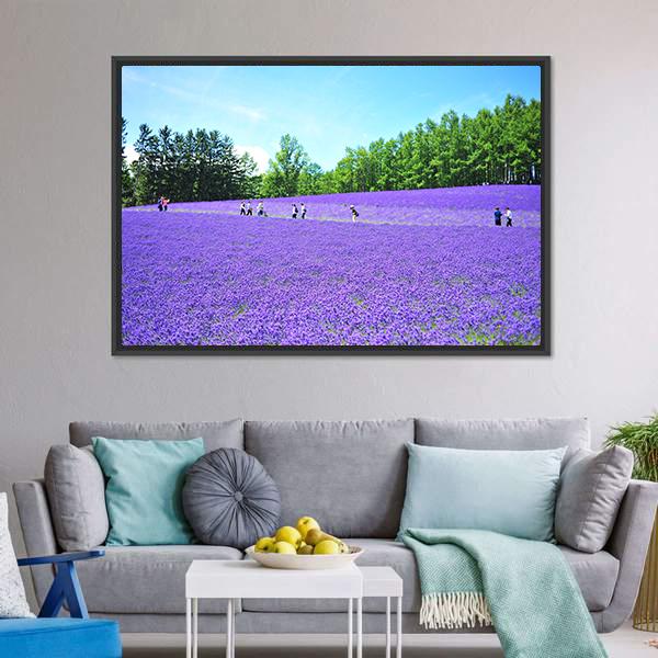 Lavender Fields In Hokkaido Canvas Wall Art-3 Horizontal-Gallery Wrap-25" x 16"-Tiaracle