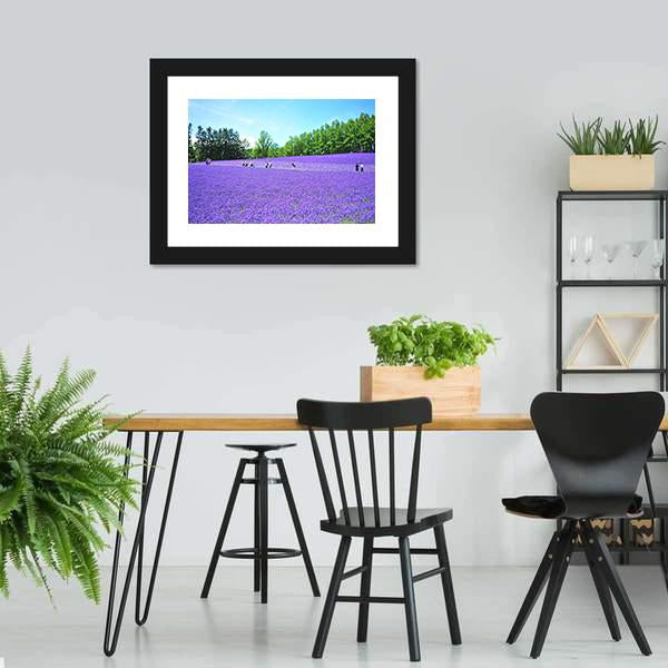 Lavender Fields In Hokkaido Canvas Wall Art-3 Horizontal-Gallery Wrap-25" x 16"-Tiaracle
