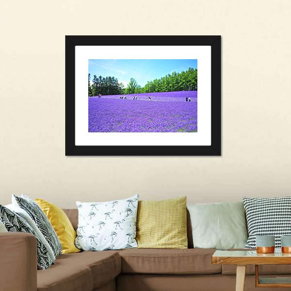 Lavender Fields In Hokkaido Canvas Wall Art-3 Horizontal-Gallery Wrap-25" x 16"-Tiaracle