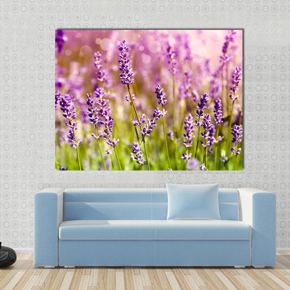 Lavender Floral Scene Canvas Wall Art-1 Piece-Gallery Wrap-48" x 32"-Tiaracle