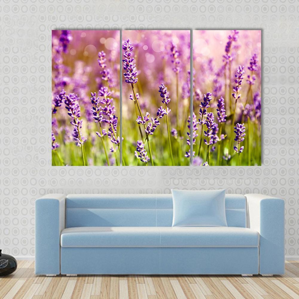 Lavender Floral Scene Canvas Wall Art-3 Horizontal-Gallery Wrap-37" x 24"-Tiaracle