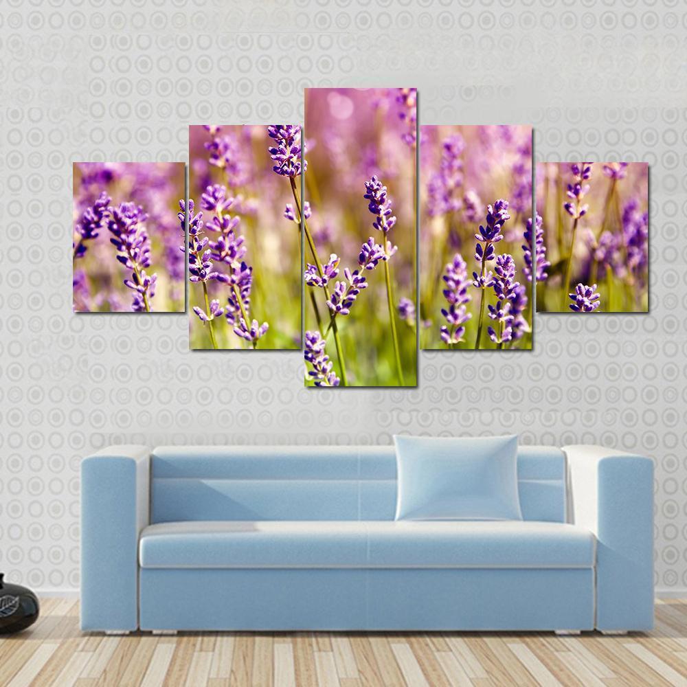 Lavender Floral Scene Canvas Wall Art-5 Star-Gallery Wrap-62" x 32"-Tiaracle