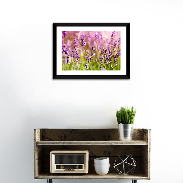 Lavender Floral Scene Canvas Wall Art-1 Piece-Framed Print-20" x 16"-Tiaracle