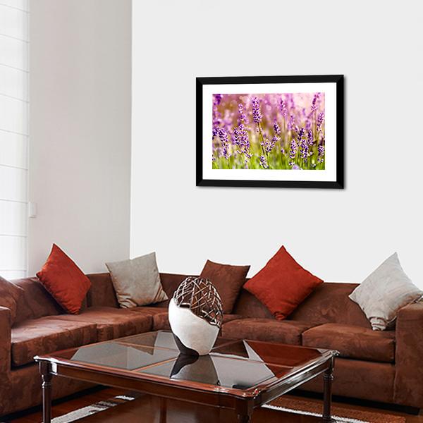 Lavender Floral Scene Canvas Wall Art-3 Horizontal-Gallery Wrap-25" x 16"-Tiaracle
