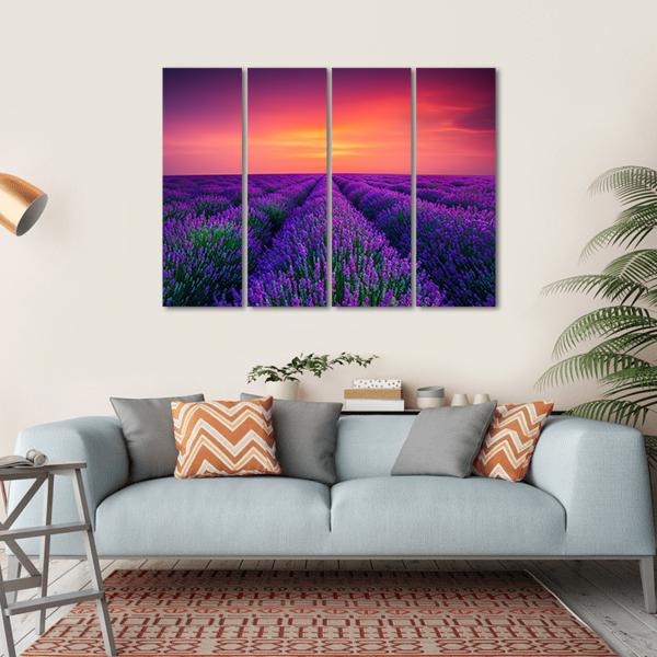 lavender flower wall art Lavender Rows with Magenta Sunset Multi Panel Canvas Wall Art Print - red/purple - 4 Horizontal - Canvas Print - 34