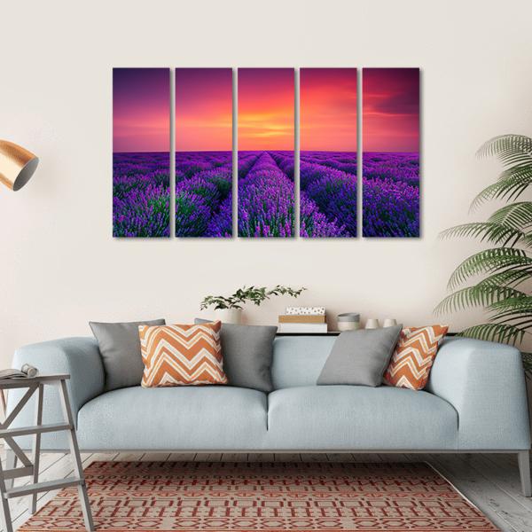 Lavender Flower Blooming Canvas Wall Art-5 Horizontal-Gallery Wrap-22" x 12"-Tiaracle