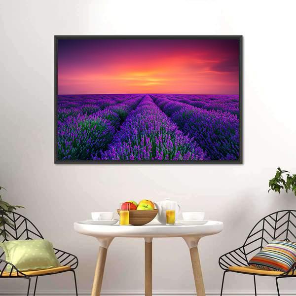 Lavender Flower Blooming Canvas Wall Art-3 Horizontal-Gallery Wrap-25" x 16"-Tiaracle