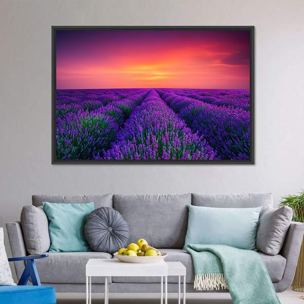 Lavender Flower Blooming Canvas Wall Art-3 Horizontal-Gallery Wrap-25" x 16"-Tiaracle
