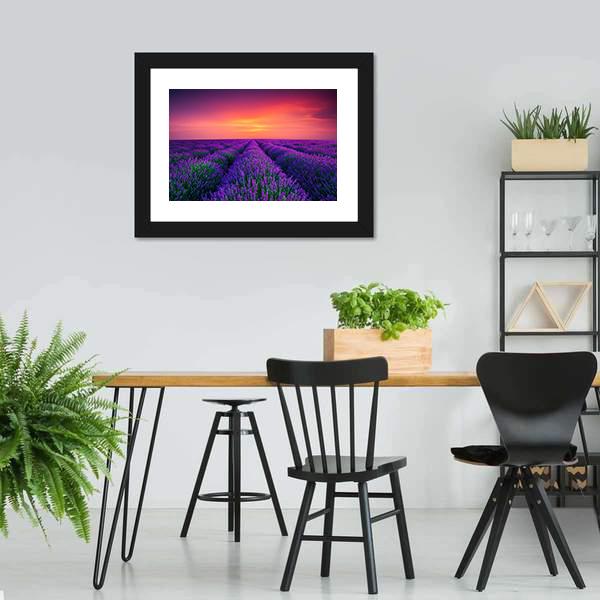 Lavender Flower Blooming Canvas Wall Art-5 Horizontal-Gallery Wrap-22" x 12"-Tiaracle