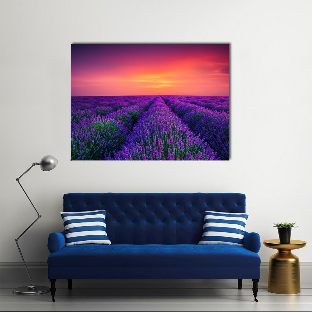 Lavender Flower Blooming Canvas Wall Art-1 Piece-Gallery Wrap-48" x 32"-Tiaracle