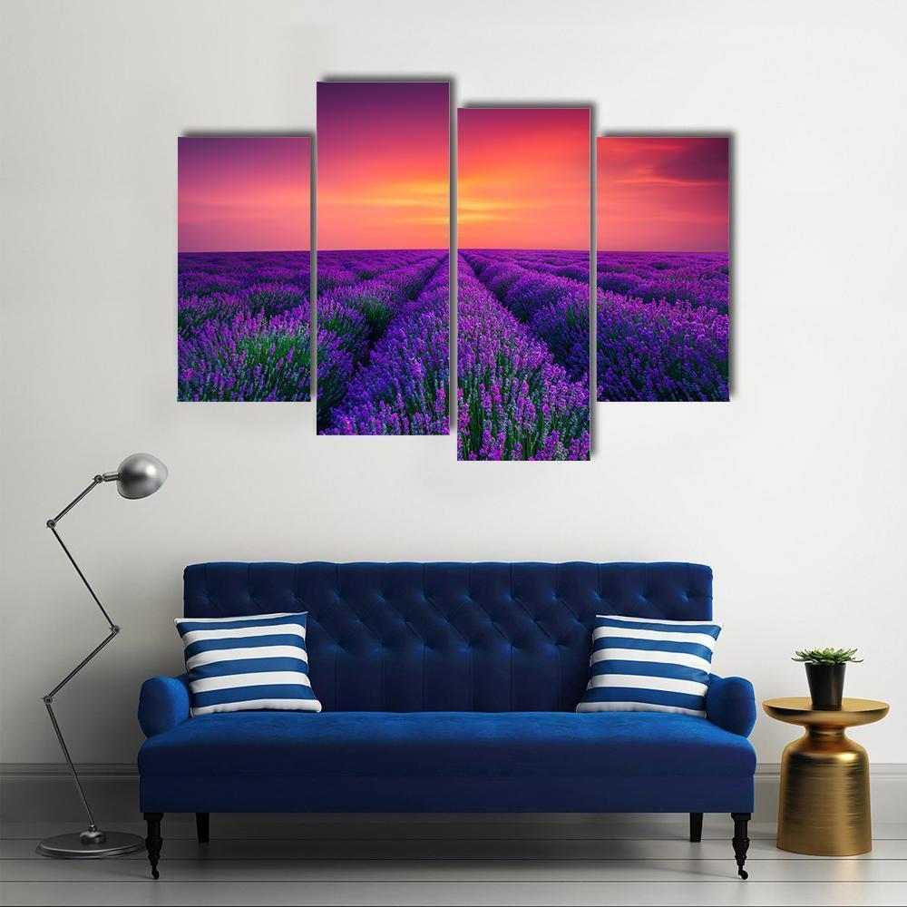 Lavender Flower Blooming Canvas Wall Art-4 Pop-Gallery Wrap-50" x 32"-Tiaracle