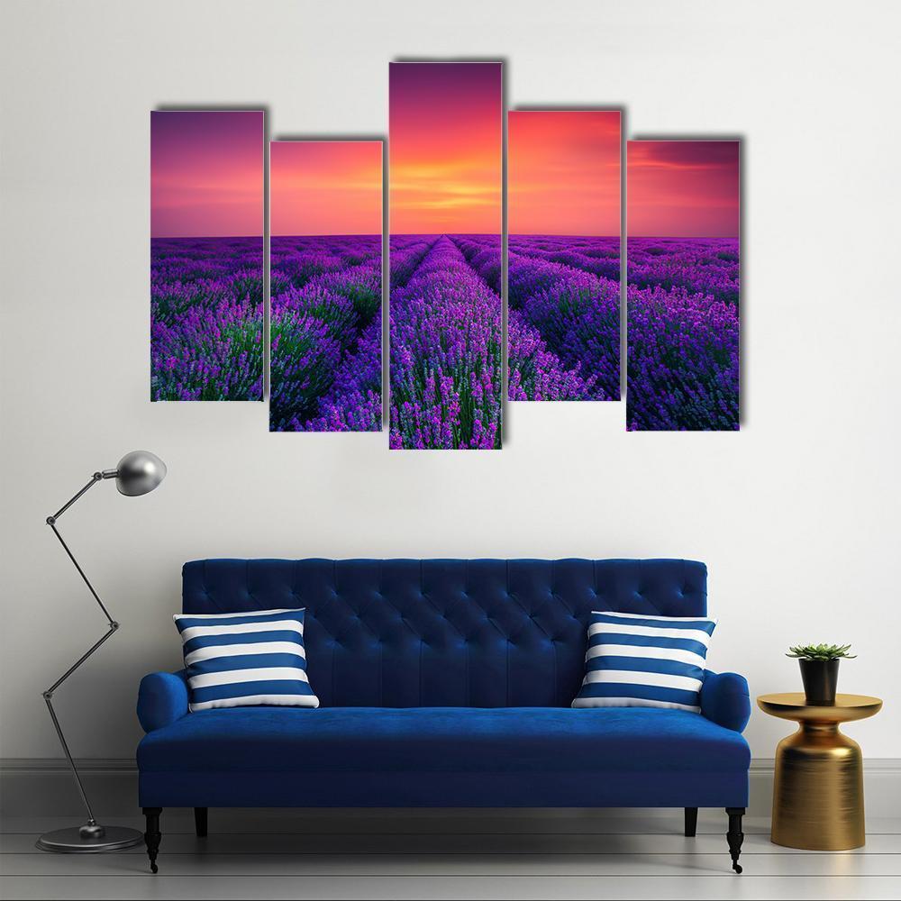Lavender Flower Blooming Canvas Wall Art-5 Pop-Gallery Wrap-47" x 32"-Tiaracle