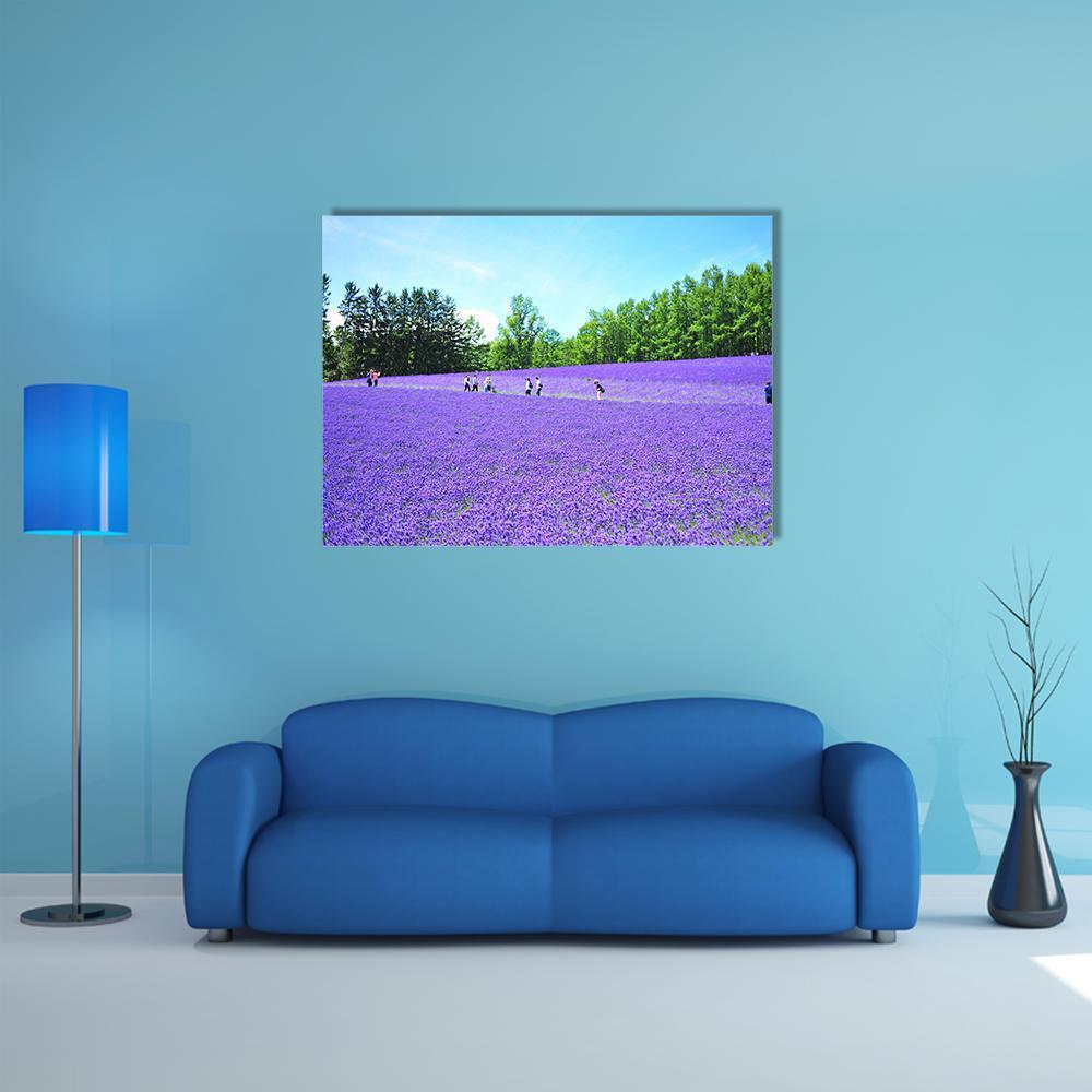 Lavender Fields in Hokkaido Canvas Wall Art in green, blue and purple, single panel hung on a wall