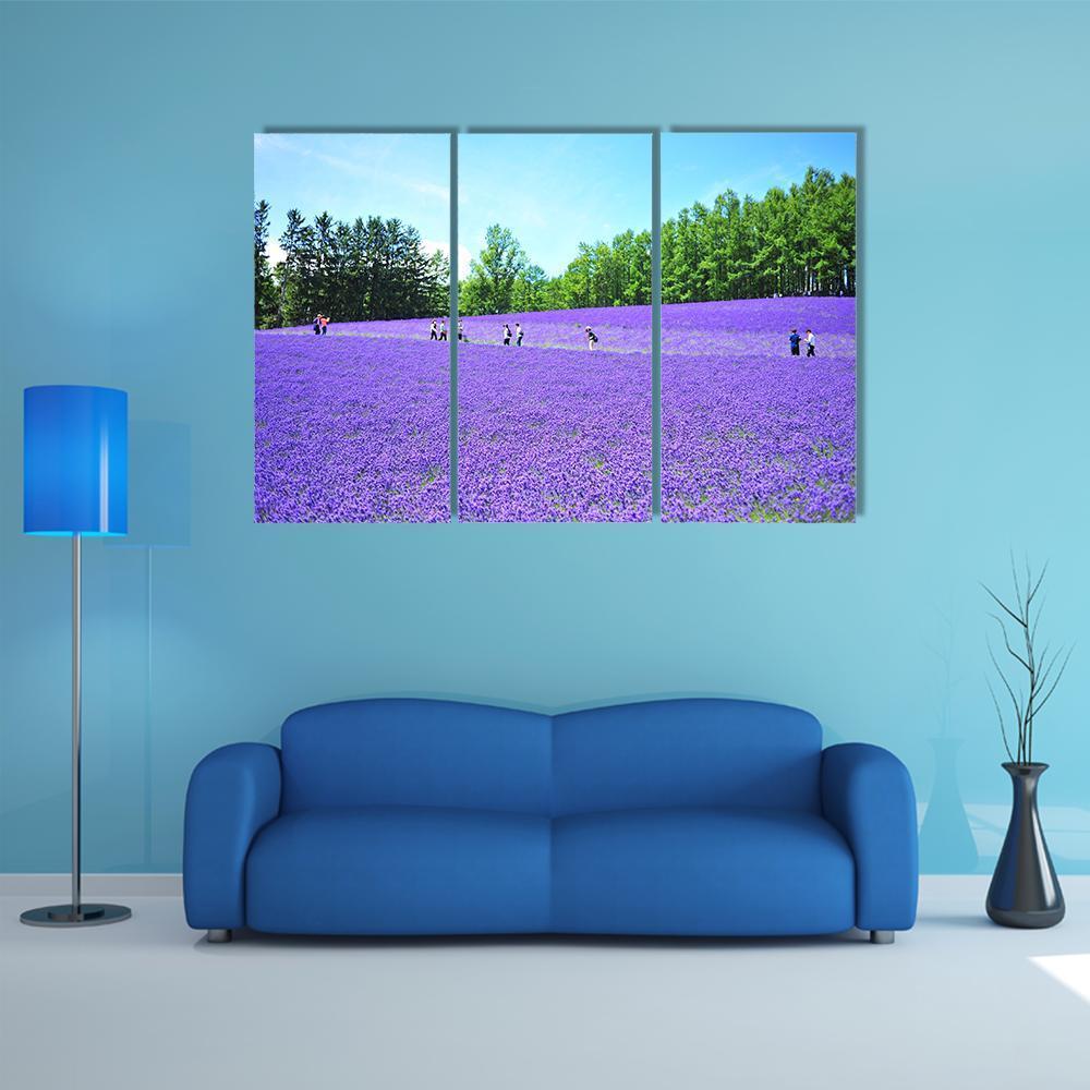 Lavender Fields In Hokkaido Canvas Wall Art-3 Horizontal-Gallery Wrap-37" x 24"-Tiaracle