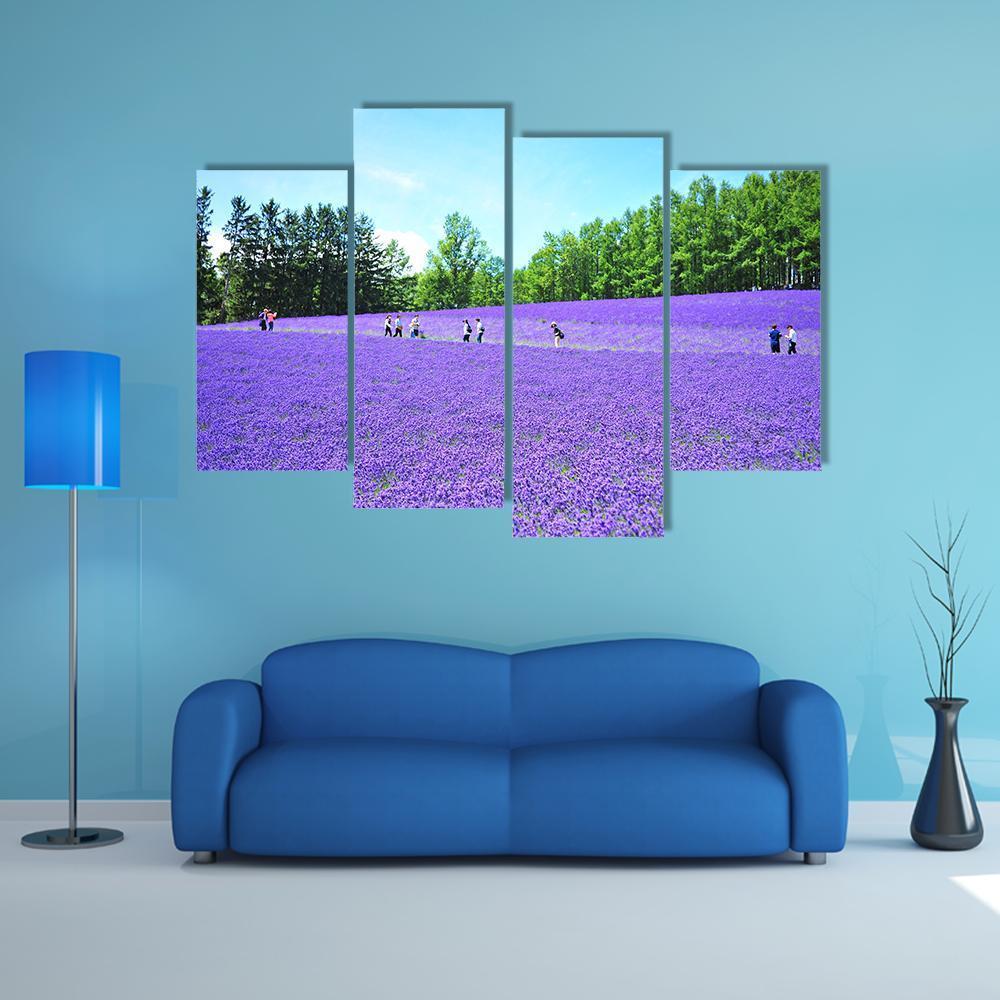 Lavender Fields In Hokkaido Canvas Wall Art-4 Pop-Gallery Wrap-50" x 32"-Tiaracle