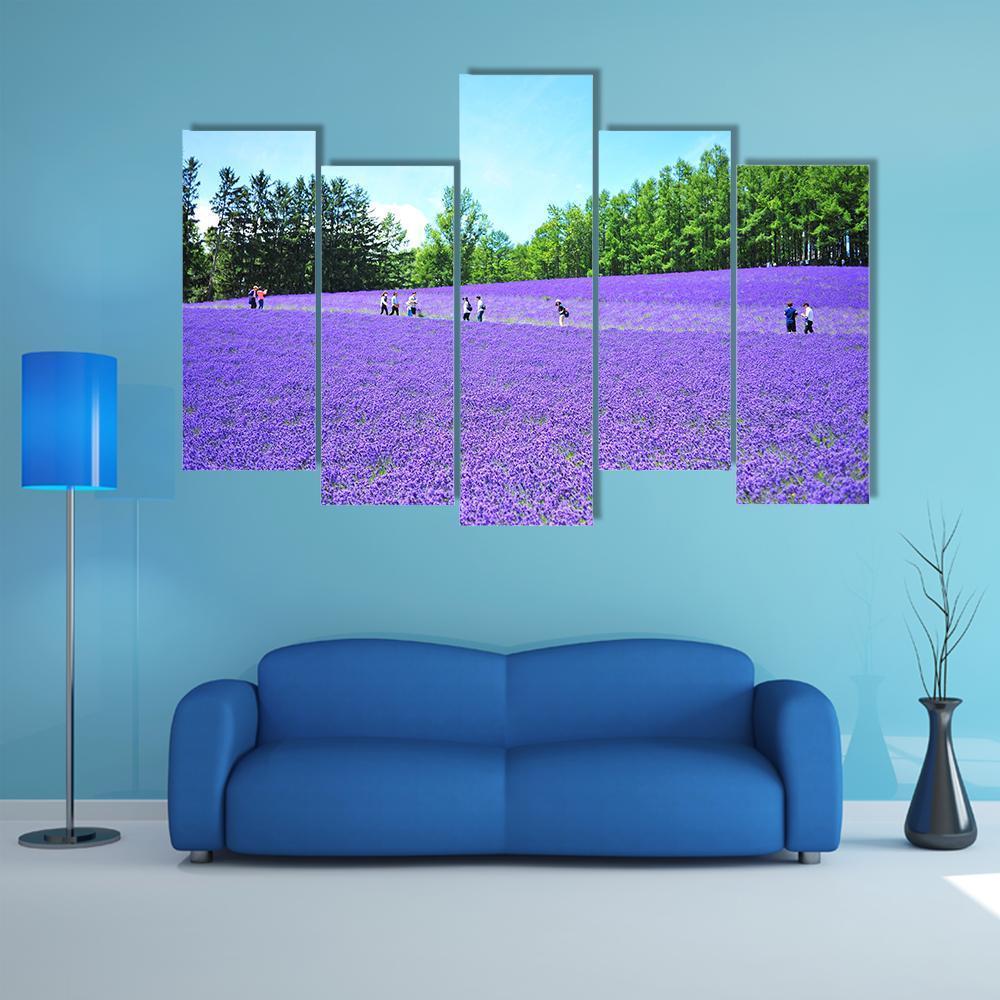 Lavender Fields In Hokkaido Canvas Wall Art-5 Pop-Gallery Wrap-47" x 32"-Tiaracle