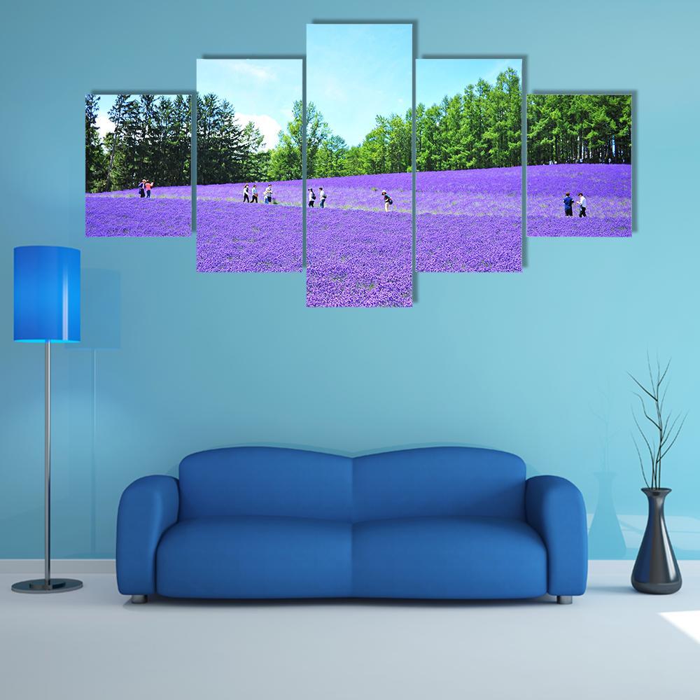 Lavender Fields In Hokkaido Canvas Wall Art-4 Pop-Gallery Wrap-50" x 32"-Tiaracle