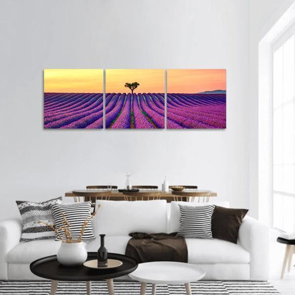 Tree in Lavender Field Panoramic Canvas Wall Art in orange, yellow and purple, hung on a wall
