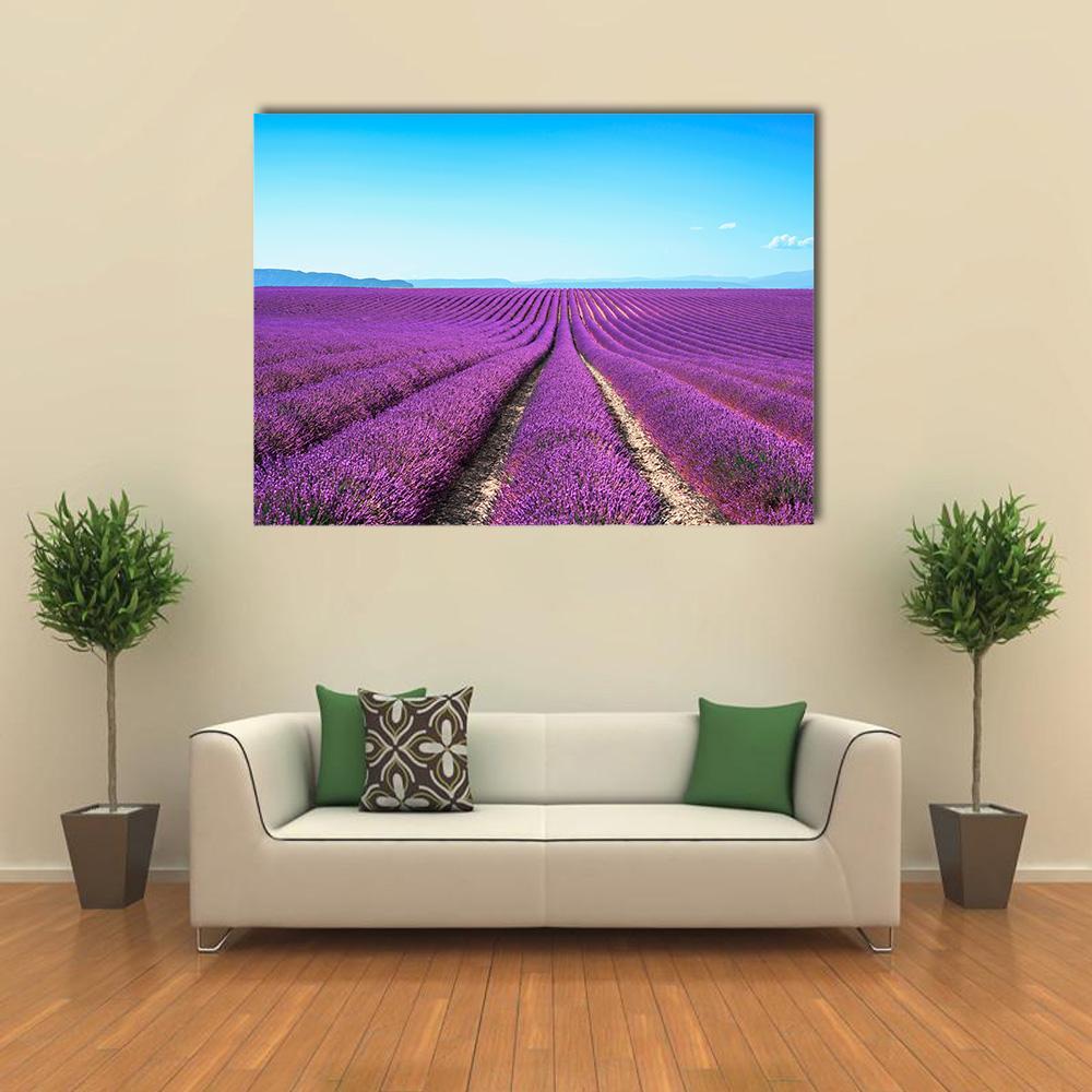 Lavender Field with Path Canvas Wall Art in blue and purple, single panel hung on a wall